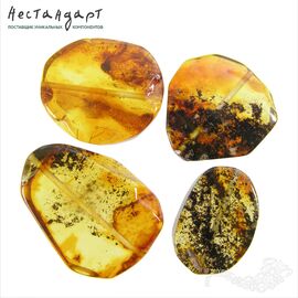 Янтарь натуральный Area Inclusion 20-32 мм