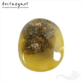 Янтарь натуральный Precious Nugget 36х30х9 мм