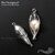 Подвеска Spiritual Raven Silver Plated 24 мм, изображение 5