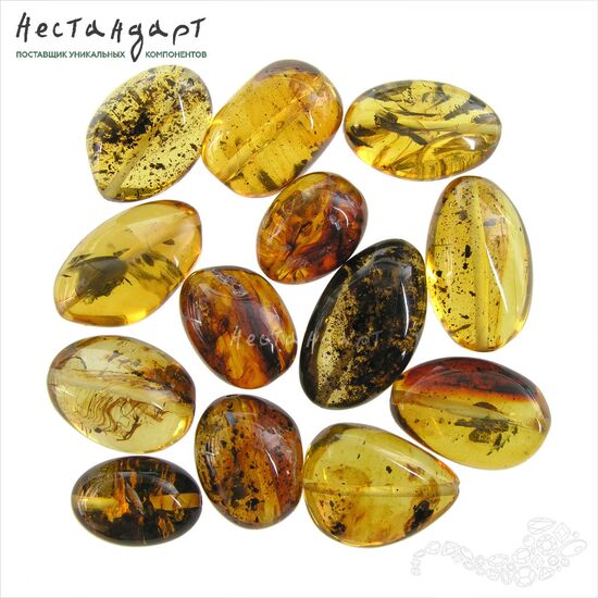 Янтарь натуральный Olive Native 19-25 мм, изображение 4