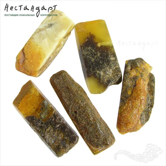 Янтарь натуральный Double Espresso 43-52х17-23 мм