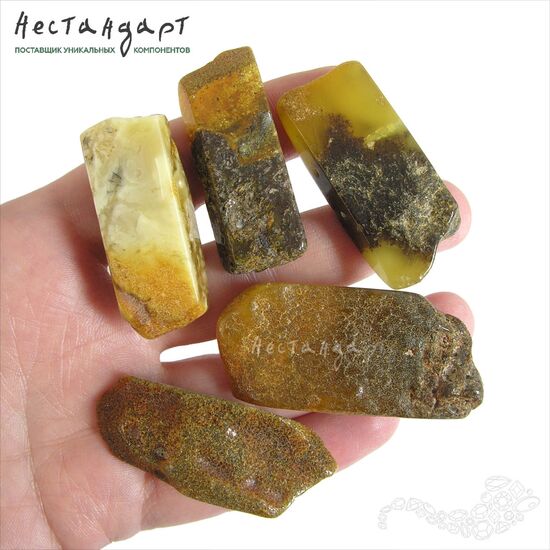 Янтарь натуральный Double Espresso 43-52х17-23 мм, изображение 2