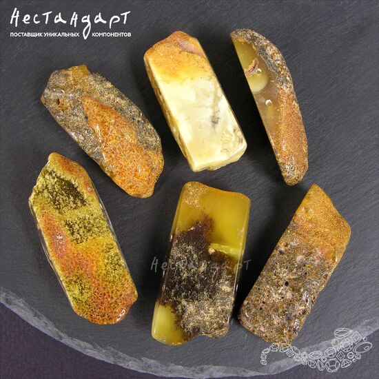 Янтарь натуральный Double Espresso 43-52х17-23 мм, изображение 3