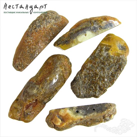 Янтарь натуральный Double Espresso 43-52х17-23 мм, изображение 4