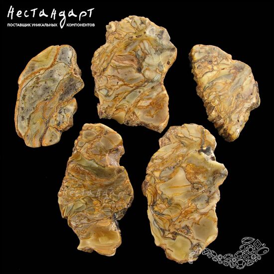 Янтарь натуральный спил самородка Landscape Cut 48-62 мм, изображение 3