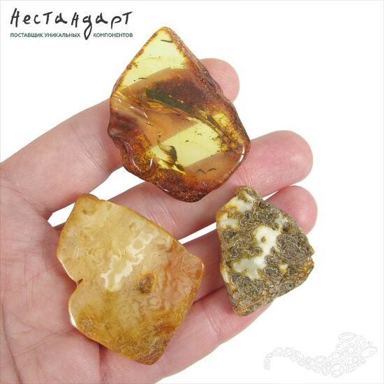 Янтарь натуральный спил Slim Cut 29-53 мм, изображение 5