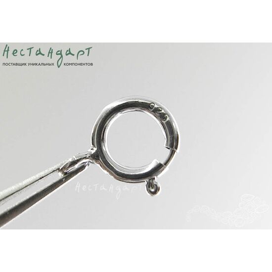 Замок-кольцо Шпрингельный Sterling Silver Rhodium Plated 6 мм, изображение 4