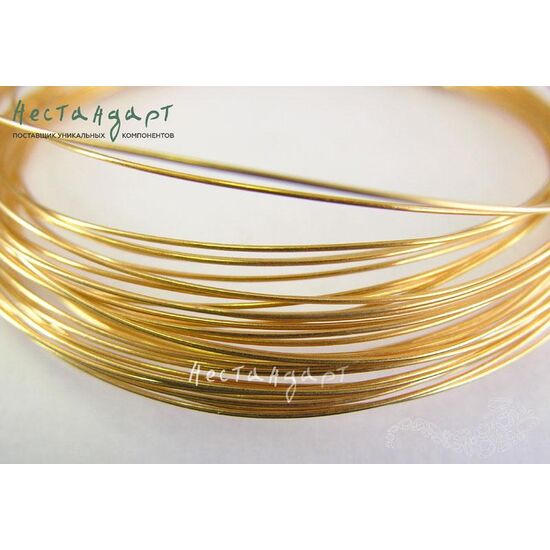 Проволока мягкая Vermeil Sterling Silver 0,3 мм (уп. 82 см.)