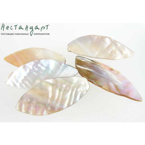 Перламутр натуральный Gold Leaflet 46-50 мм, изображение 3