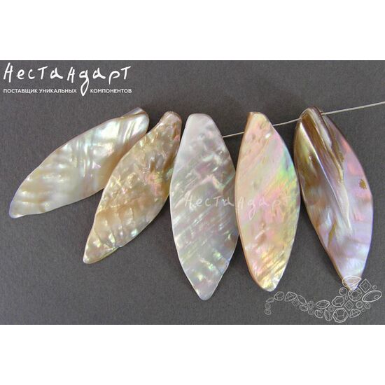 Перламутр натуральный Gold Leaflet 46-50 мм, изображение 4